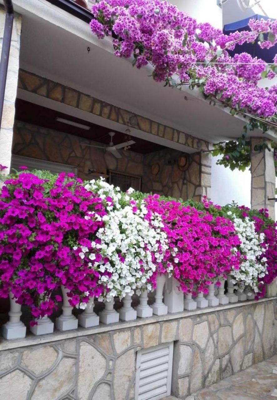 Apartments Dobri - 500M From Beach Nin Exteriör bild